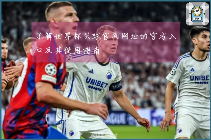 了解世界杯买球官网网址的官方入口及其使用指南