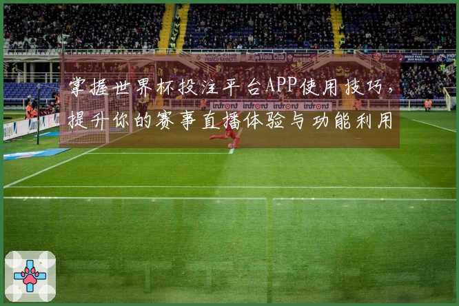 掌握世界杯投注平台APP使用技巧,提升你的赛事直播体验与功能利用