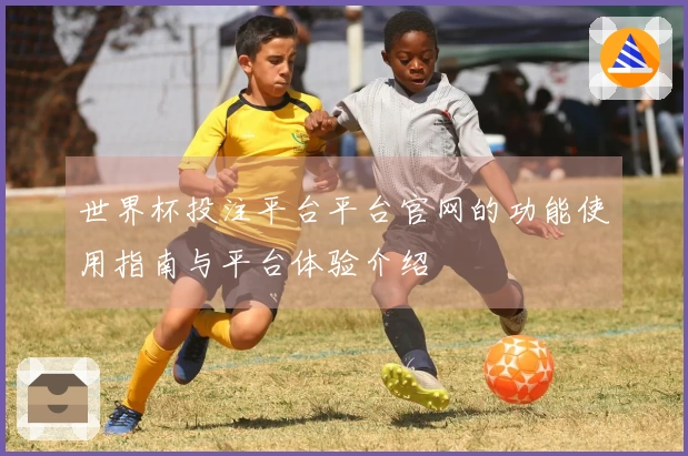 世界杯投注平台平台官网的功能使用指南与平台体验介绍