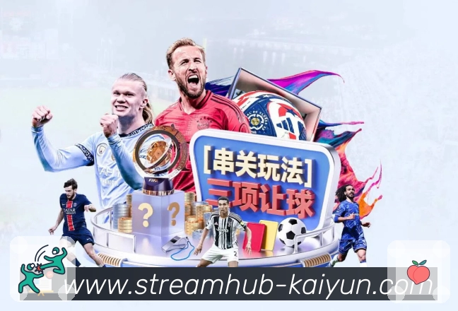 <strong>开云</strong>关键入口保护